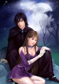 無雙贅婿沈默與蘇婉瑜