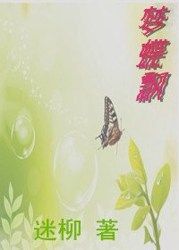 梦蝶飘